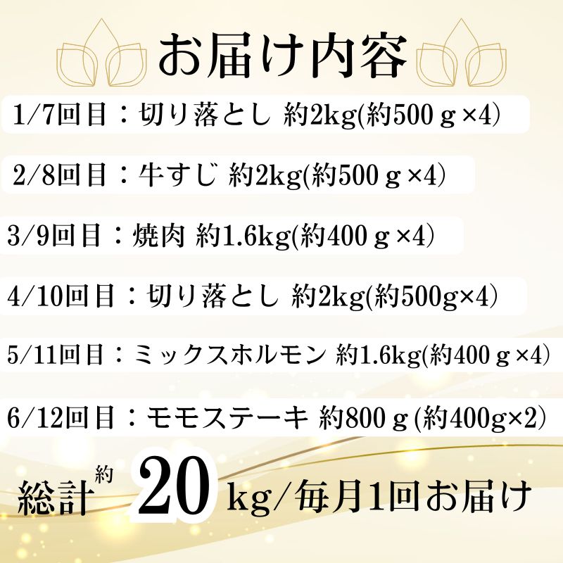 【G01006】　 ＜定期便・全12回(連続)＞鹿児島黒牛 満足定期便・満腹セット(全5種・合計20kg)_イメージ5