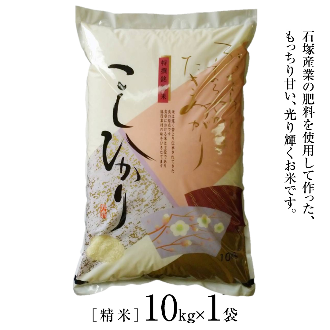  ＼ 3月出荷 ／【令和7年産】コシヒカリ 精米10kg（10kg×1袋）（茨城県共通返礼品 かすみがうら市産） 米 ごはん もっちり 甘い コメ お米 白米 銘柄米  [EX002sa-03]