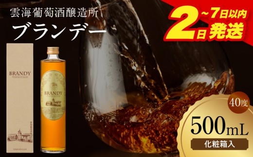 【2～7日以内に発送予定】雲海葡萄酒醸造所 ブランデー 500ml_M375-005-01-1W