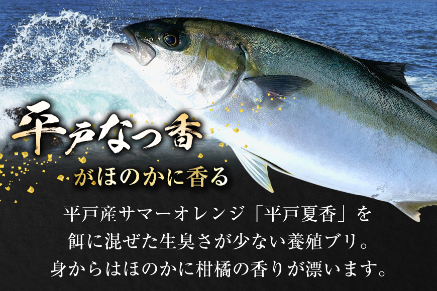 ぶり 刺身 平戸なつ香 ブリ 丸々 1匹 約4.5kg 3枚おろし アラ付き セット [坂野水産 長崎県 平戸市 hr42bgy420503] 鰤 魚介 さかな 刺身用 さしみ 冷蔵 おかず フルーツ