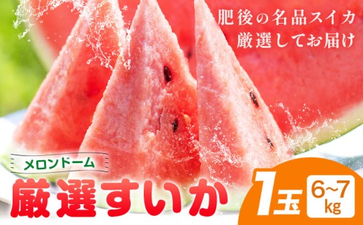 【先行予約】厳選すいか 1玉(6-7kg) 道の駅七城メロンドーム《5月中旬-6月中旬頃出荷》品種おまかせ ランダム 肥後漫遊 味で勝負iS 祭りばやし 果物 フルーツ スイカ 西瓜 九州産 熊本県産 送料無料