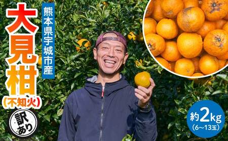 先行予約 熊本大見柑 (不知火) 訳あり 2kg (6～13玉) 【2027年2月上旬から2027年2月下旬発送予定】