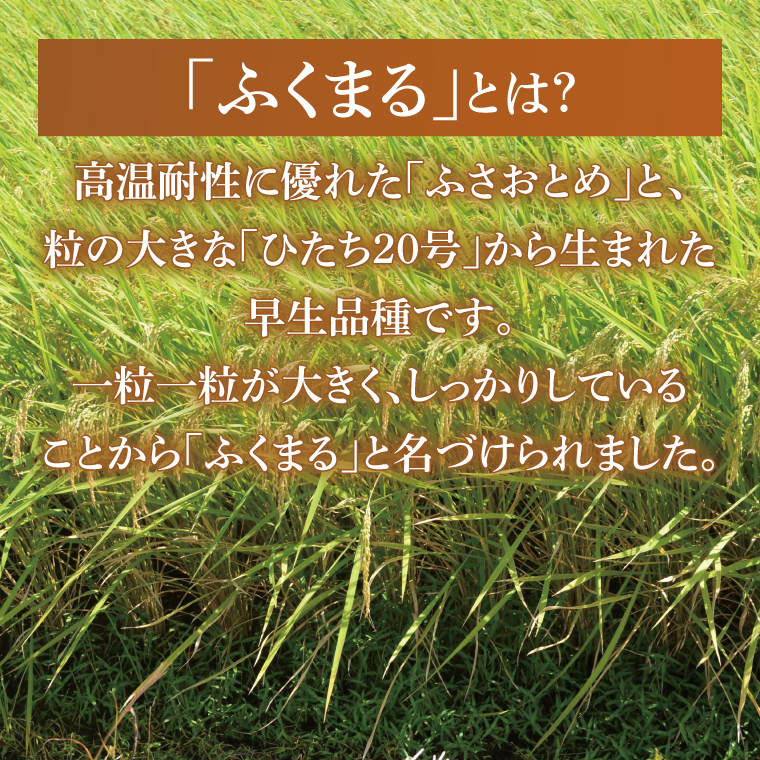【茨城県共通返礼品】【人気2銘柄食べ比べ】令和7年産 茨城県産 ミルキークイーン・ふくまる　5kg×各1袋（計10kg）【お米 米 ごはん 茨城県】（03-67-1）