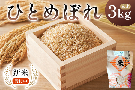 【2025年9月中旬以降発送予定】ひとめぼれ玄米3kg【2025年産】 mi0088-0004 お米 玄米 ごはん ひとめぼれ おにぎり ﾌﾞﾗﾝﾄﾞ米 国産米