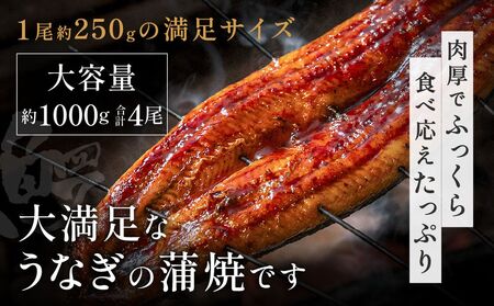 うなぎ蒲焼き3尾セット(約250g×3尾セット)【FLOWER】_HA1494