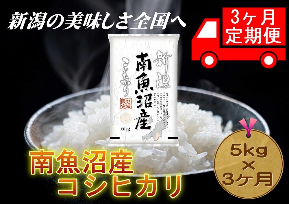 【3ヶ月連続お届け】南魚沼産コシヒカリ　5kg　新潟県　南魚沼　南魚沼産　こしひかり　米　お米