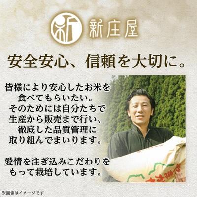 ふるさと納税 新庄市 【先行受付】令和7年産 山形県産 はえぬき 精米 2kg |  | 03