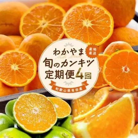 【発送月固定定期便】和歌山 旬のカンキツ定期便【S】全4回【4070730】