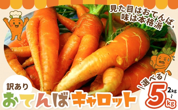
                  人参 訳あり にんじん ニンジン キャロット 2kg 5kg《12月中旬-3月上旬頃出荷》熊本県 大津町 人参 送料無料 にんじん キャロット 熊本県産 にんじん 5kg
                