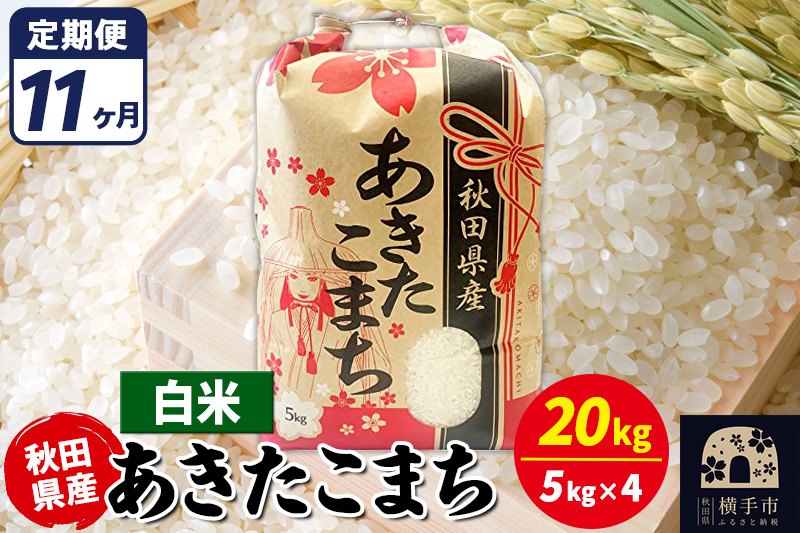 《定期便11ヶ月》あきたこまち 20kg【白米】令和7年産 秋田県産 こまちライン [こまちライン あきたこまち ブランド米 お米 白米 精米 米どころ 秋田 秋田県産]