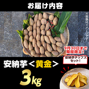 n386 ＜期間・数量限定セット！先行予約受付中！2025年9月下旬頃から12月中の発送予定＞種子島産 安納芋＜黄金＞(3kg)＆安納芋チップス1袋セット 国産 安納芋 黄金 こがね コガネ 種子島 