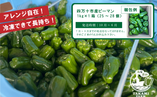 苦味が少なくておいしい！ 高見農園 のこだわり 新鮮 ピーマン 1kg 新鮮 野菜 ベジタブル ぴーまん ハウス ハウスピーマン ハウス栽培 惣菜 国産 産地直送 旬 高知県 四万十 しまんと【発送時