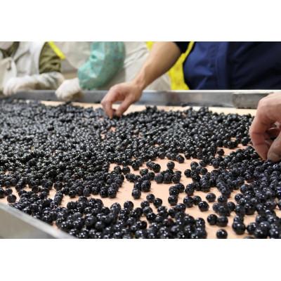 ふるさと納税 小諸市 日本ワイン ソラリス 小諸 メルロー ワインセット 750ml×6本 赤ワイン |  | 02