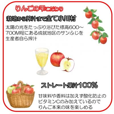 ふるさと納税 小川村 サンふじりんご100%ジュース1L2本*201 |  | 01