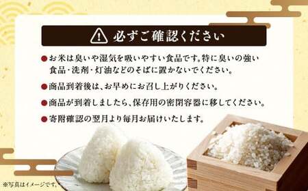 【9回定期便】浦臼産ななつぼし 精白米 10kg（5kg×2袋） | 米 お米 こめ コメ ブランド米 白米 精米 ごはん ななつぼし 定期 定期便 北海道産 浦臼産 北海道 浦臼町