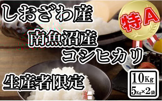 
            【令和7年産】生産者限定 契約栽培 南魚沼しおざわ産コシヒカリ10Kg（5Kg×2袋）【2025年10月上旬より順次発送予定】
          