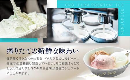 牧場直送ご当地アイスセット（5種10個入）〈小野ファーム〉 ABN0002