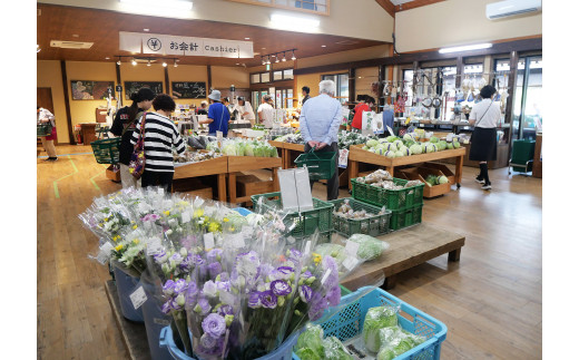 【2026年10月発送】遠野風の丘 季節の 野菜セット（5種類以上） / 道の駅遠野風の丘 産直 直送 旬 厳選 遠野産 選べる配送月 配送地域限定：東北～関東甲信越