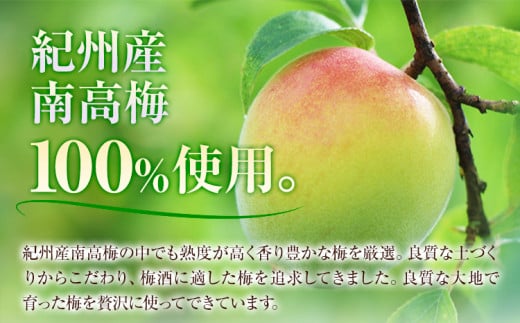 The CHOYA 至極の梅 650ml × 2本 羽曳野商工振興株式会社《30日以内に出荷予定(土日祝除く)》大阪府 羽曳野市 送料無料 梅酒 梅 酒 CHOYA チョーヤ チョーヤ梅酒 お酒 紀州