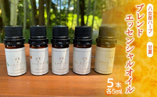 
                  【ふるさと納税限定】八女産ハーブと甘夏のブレンドエッセンシャルオイル（５種類セット）
                