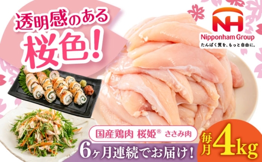 【全6回定期便】桜姫 ささみ 計4kg（2kg×2パック）《厚真町》【東日本フード株式会社】 桜姫 国産鶏肉 鶏肉 鶏 とり肉 ささみ ササミ 冷凍 北海道 [AXBM074]