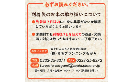 山形県産 はえぬき 真空パック 2合 20シート