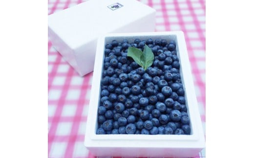 【先行予約】今治産ブルーベリー「媛ベリー」1kg７月下旬～8月下旬限定（森のともだち農園玉川町） [LC00880]
