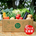 【ふるさと納税】おとなりさんち厳選！浜松から鮮度抜群！旬の野菜BOX【定期便6か月分】【配送不可：沖縄・離島】　【定期便・野菜・セット・詰合せ】