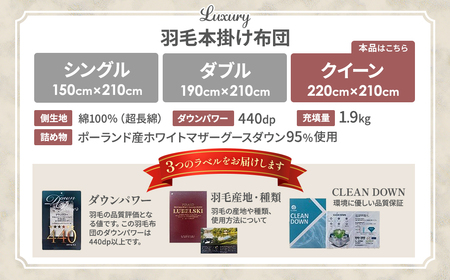 【掛け布団】羽毛掛け布団　Luxury（ラグジュアリー）（クイーン：220㎝×210㎝）ポーランド産ホワイトマザーグースダウン95％