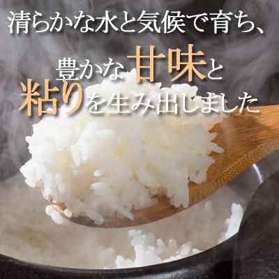 ふるさと納税 横芝光町 【令和7年産　新米】千葉県産コシヒカリ 精米5kg お米マイスター厳選/推奨 甘味と粘りに自信あり |  | 02