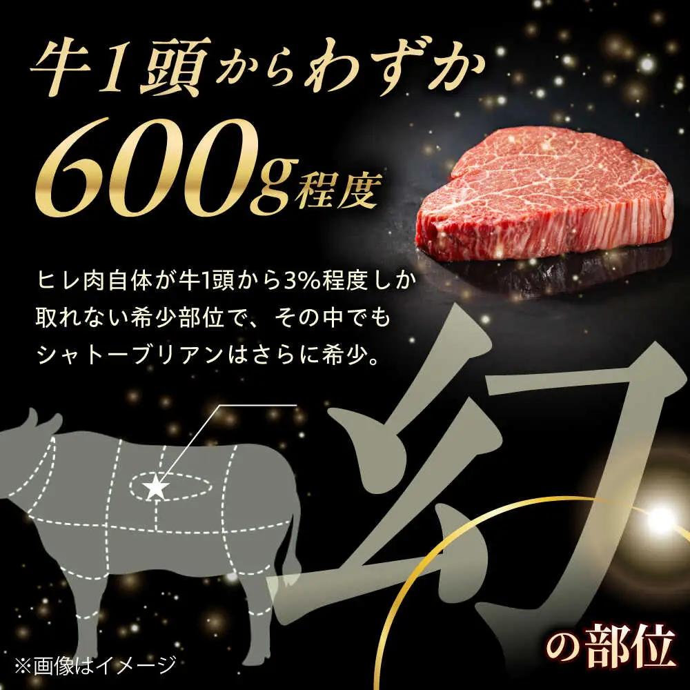 シャトーブリアン 150g×2 牛肉 国産 シャトーブリアン 長崎和牛 牛肉 QBN058