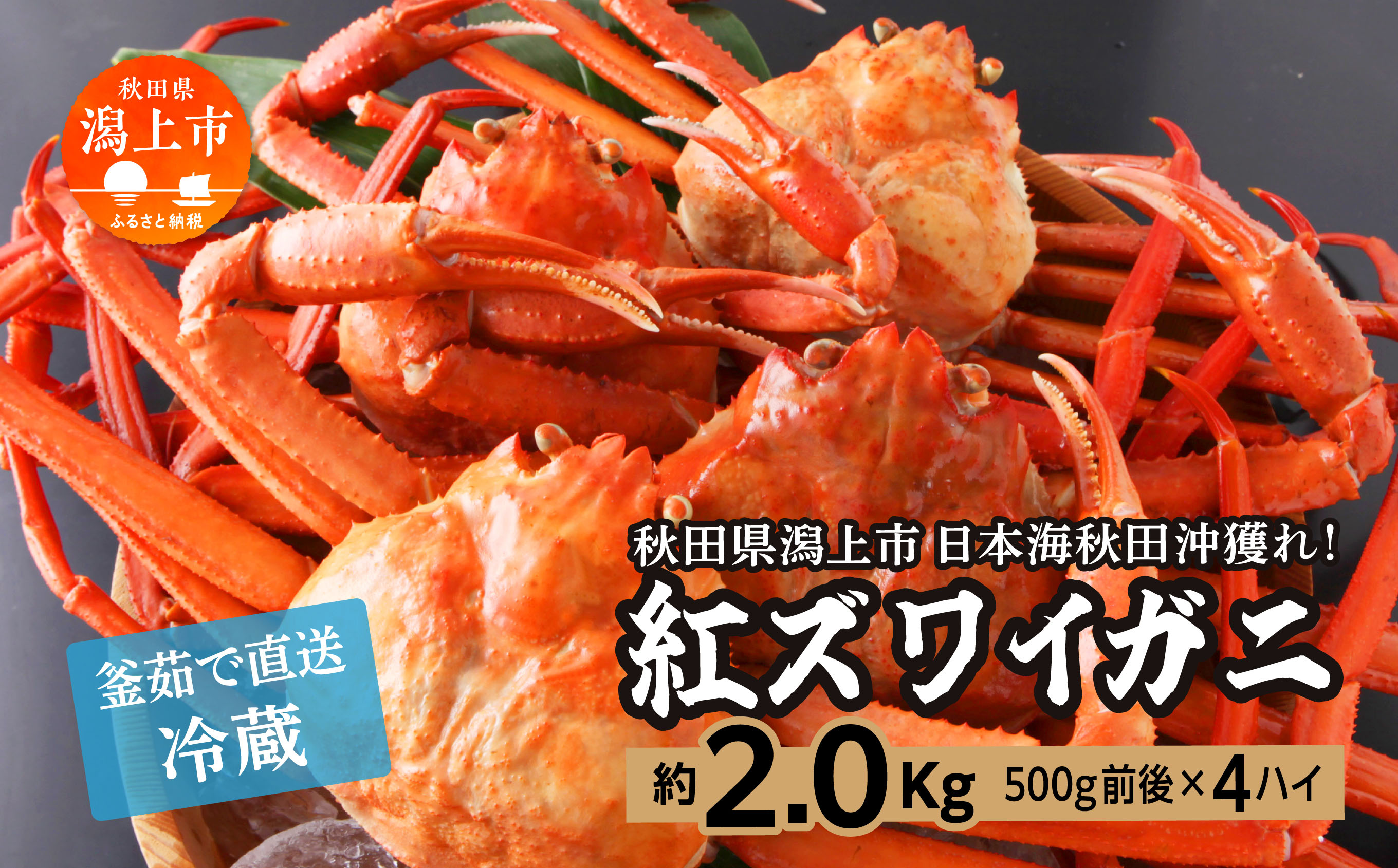 日本海沖産 紅ズワイガニ500g前後×4匹 約2.0kg/冷蔵 冷蔵 ズワイガニ 4匹 約 2.0kg 紅ズワイガニ ベニズワイガニ ずわい ズワイ蟹 ずわいがに ずわい蟹 姿 ボイル 訳あり 蟹 カニ かに 国産 蟹 不揃い 傷 緊急 カニみそ入り 潟上市