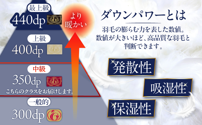 【訳あり】【 糸島 羽毛 ふとん 】羽毛 布団 柄おまかせ ダウン85％【ダブル】糸島市 / 株式会社三樹  [AYM005] 本掛け 羽毛布団 羽毛 布団 ふとん 掛け布団 掛けふとん ダブル 訳あ