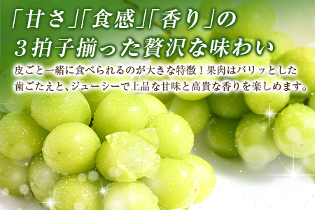 先行予約 人気の種なしぶどう！シャインマスカット 2房 計1kg以上 宮崎県産 2024年出荷【A256-24】