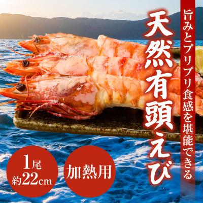 ふるさと納税 西尾市 大型天然有頭えび8尾・K301 |  | 01