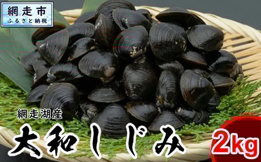 
            網走湖産 天然大粒 大和しじみ 2kg ※着日指定不可 【 ふるさと納税 人気 おすすめ ランキング しじみ シジミ 蜆 大和しじみ 貝 魚貝類 網走湖産 砂抜き済 冷凍 味噌汁 大粒 天然 北海道 網走市 送料無料 】 ABX073
          