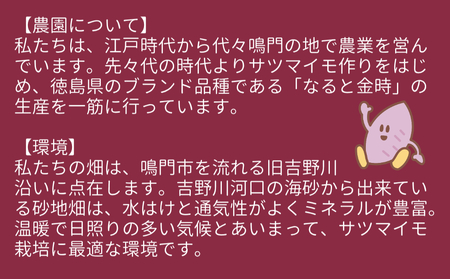 【木元農園】八代目のなると金時 約3kg | 鳴門金時 甘い ホクホク 熟成 産地直送 スイーツ おやつ 焼きいも 天ぷら 干し芋 スイートポテト 離乳食