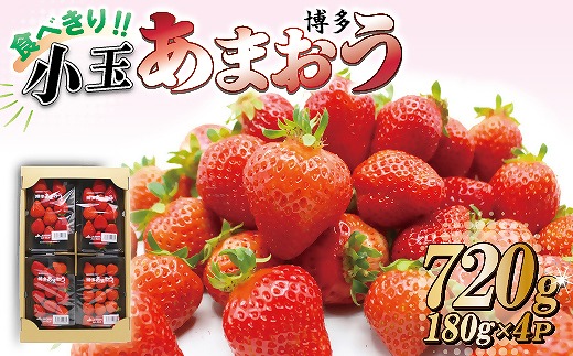 食べきりサイズ！博多あまおう４パック【2025年1月より順次】約720ｇ（2L～Lサイズ）[F2318]