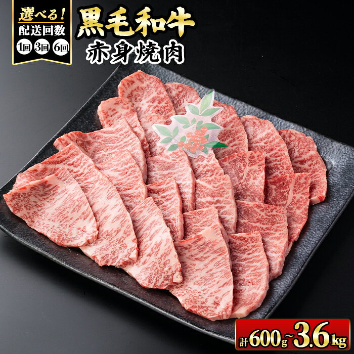 【ふるさと納税】《お届け回数を選べる！》鹿児島県(カミチクファーム 大口農場)産 黒毛和牛赤身焼肉(計600g or 1.8kg or 3.6kg) 黒毛和牛 赤身 焼肉 和牛 国産牛 A5 ランク 雌牛 牛肉 BBQ バーベキュー アウトドア キャンプ 冷凍 小分け 【お肉の直売所 伊佐店】