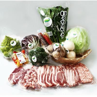 ふるさと納税 北上市 GIFTON 岩手・北上産 四元豚 厳選カット肉と野菜農家「うるおい春夏秋冬」季節の野菜セット |  | 01