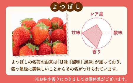 先行予約 2027年1月～発送 「よつぼし」220g×2パック / いちご [IAP009]