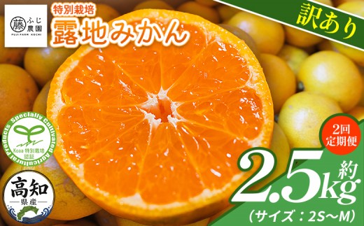 
                  【2回定期便】ふじ農園の露地みかん 訳あり品 2.5kg(2S～M) 国産 小玉 蜜柑 ミカン 柑橘 果物 フルーツ 訳アリ ご家庭用 自宅用 ふじ農園 高知県 香南市 Wfn-0019
                