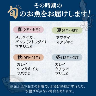 ふるさと納税 浜田市 この男に任せてみませんか〜浜田の旨い鮮魚直送便〜 |  | 02