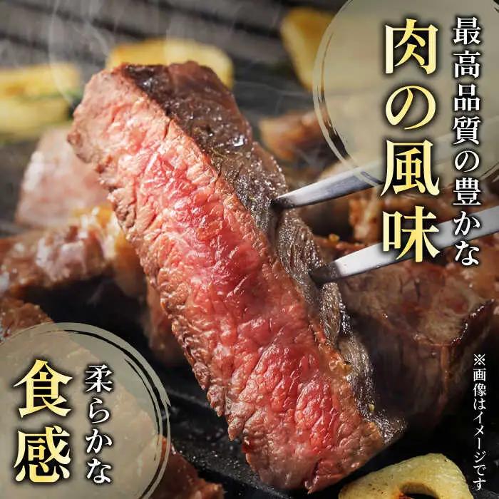 ヒレステーキ 計300g 牛肉 長崎和牛 国産 希少部位 ヒレステーキ  [QBD001]
