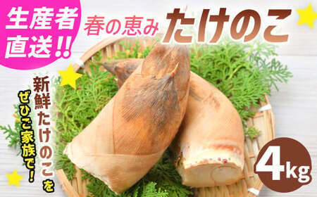 【生産者直送】春の恵み たけのこ 約4kg 以上 (2~5本) 【2026年4月上旬発送開始】 やさい 野菜 竹の子 筍 タケノコ 熊本県産