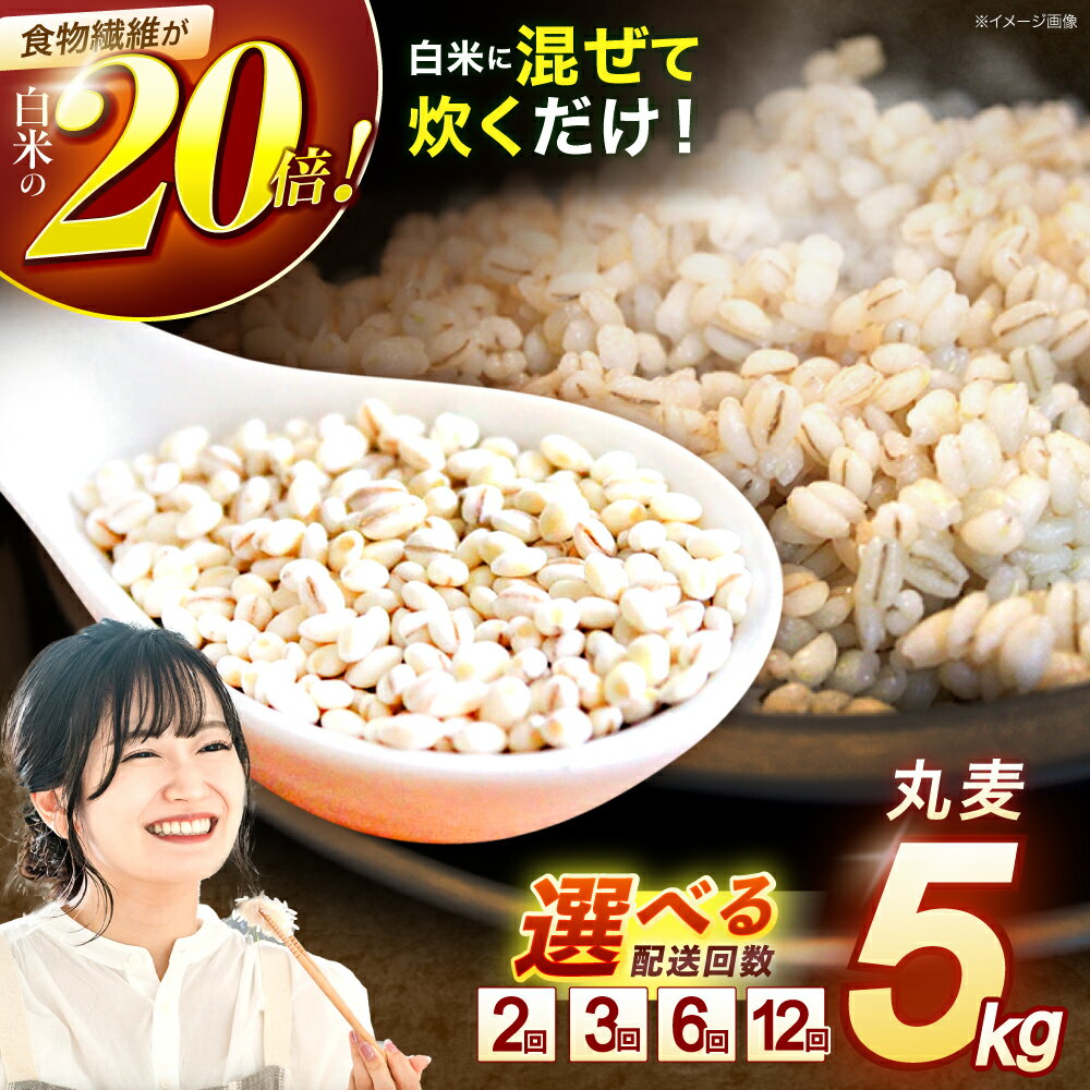 【ふるさと納税】【定期便】【選べる配送回数】長崎県産 丸麦 5kg / 麦 むぎ 雑穀 雑穀米 麦ごはん 麦飯 麦みそ 食物繊維 / 諫早市 / 有限会社伊東精麦[AHBU013]