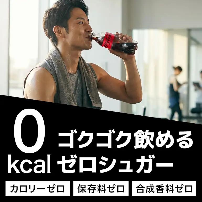 コカ・コーラゼロシュガー　500ml×24本｜コーラ AY06