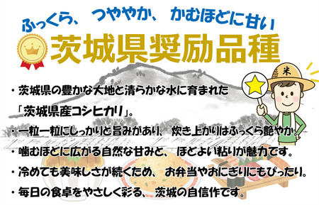 【5kg】茨城県産 コシヒカリ　1等精米5kg ／ 令和7年 新米 米 お米 こめ コメ 精米 白米 ご飯 国産米 5kg 5キロ コシヒカリ こしひかり 甘み 粘り 香り ツヤ おいしい お取り寄せ