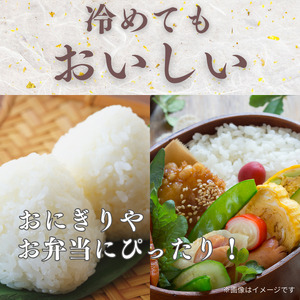 愛媛県産にこまる10kg