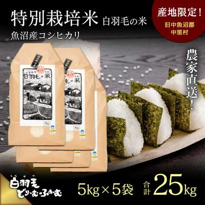 ふるさと納税 十日町市 令和7年産　農家直送!魚沼産こしひかり　特別栽培米「白羽毛の米」精米5kg×5袋